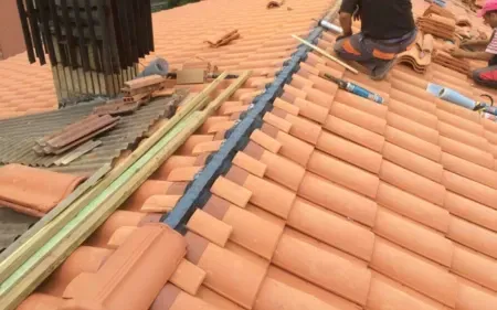 retejadososustituciondetejasenvalladolid 455w